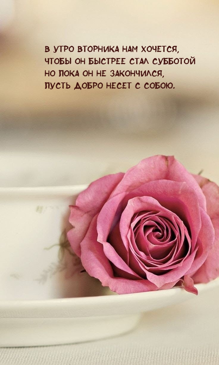 � ���� �������� ��� �������, ����� �� ������� ���� ��������