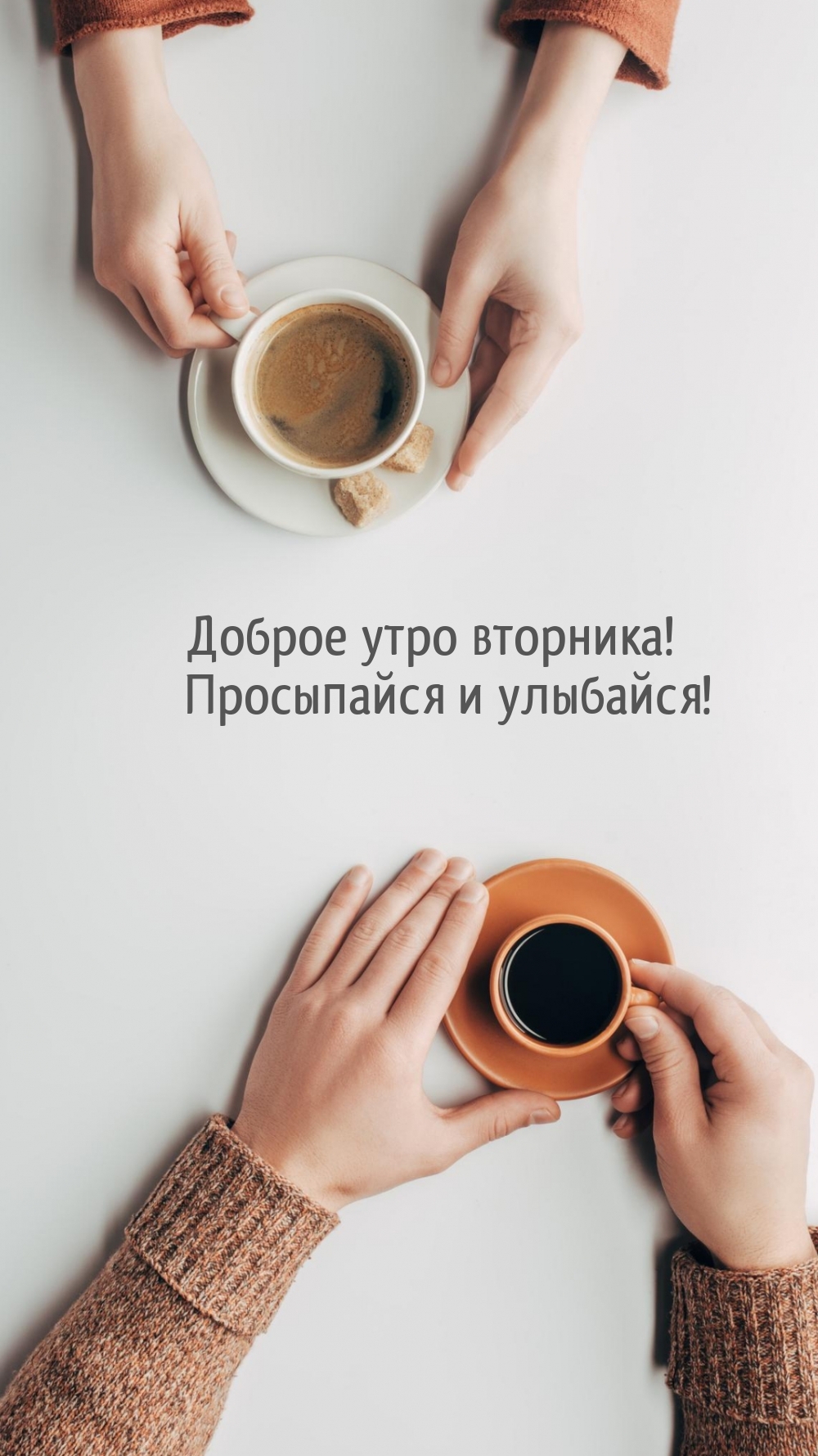 ������ ���� ��������! ���������� � ��������!