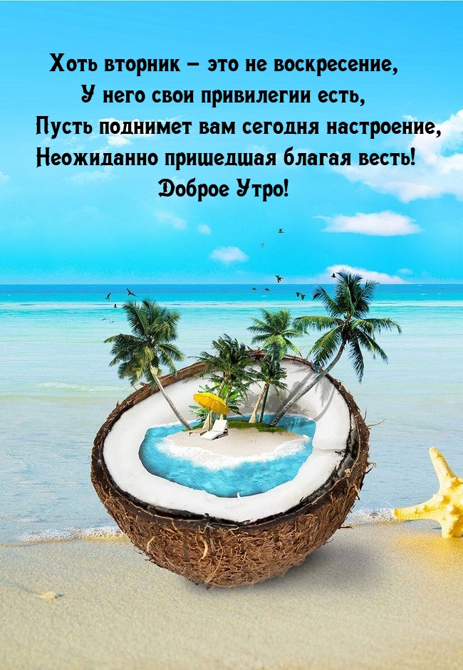 ������ ����! ���� ������� � ��� �� �����������