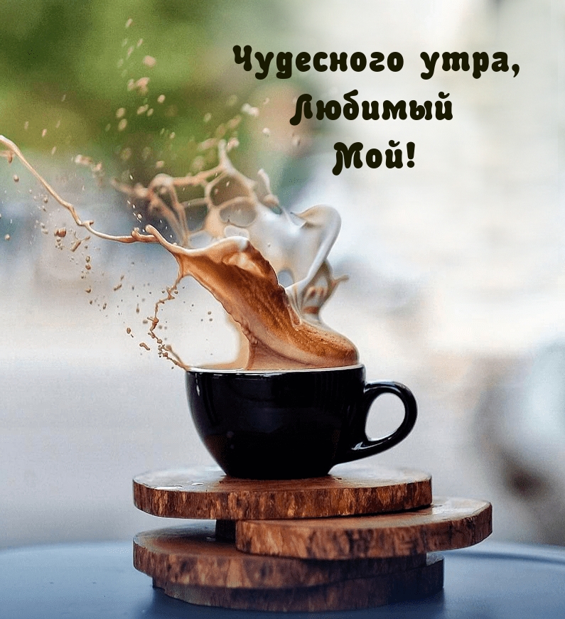 ��������� ����, ������� M��!