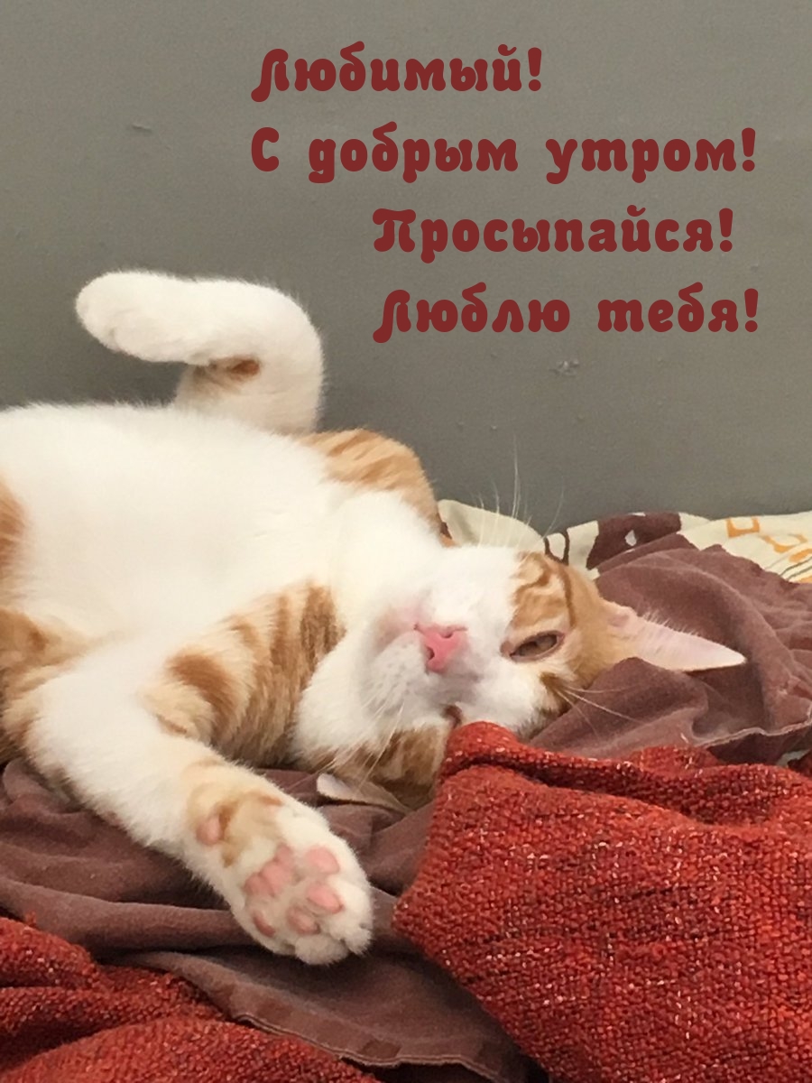 �������! � ������ �����! ����������! ����� ����!