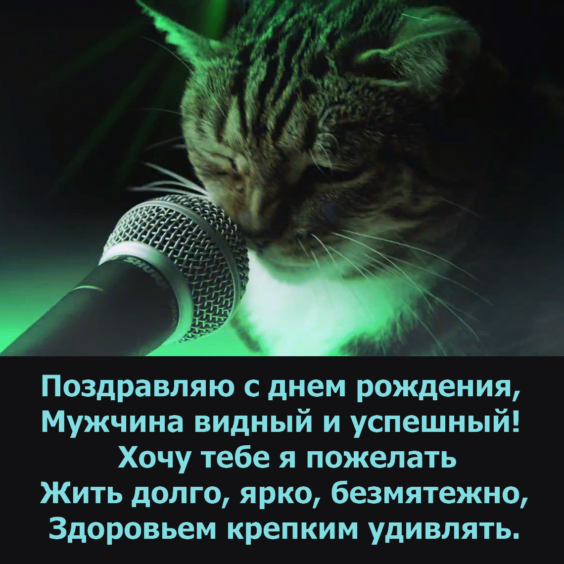 � ���� ��������, ������� ������ � ��������!
