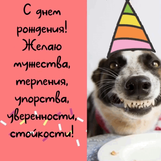 � ���� ��������! ����� ��������, ��������
