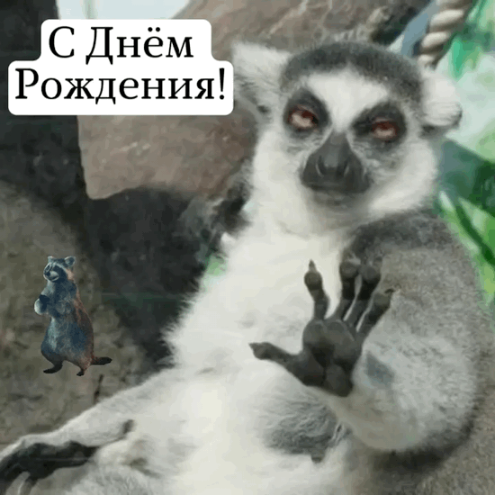 � ���� ��������!