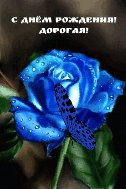 � ���� ��������! �������! 