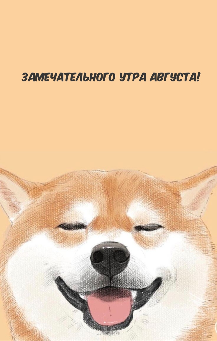 �������������� ���� �������!