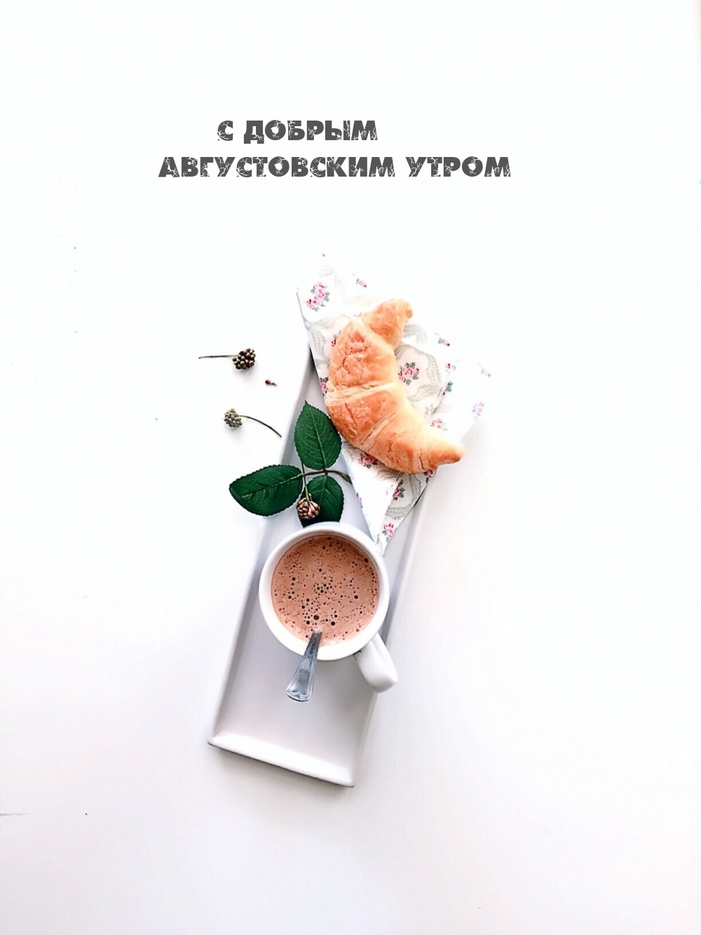 � ������ ������������ �����