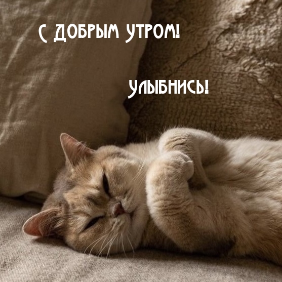 � ������ �����! ��������!