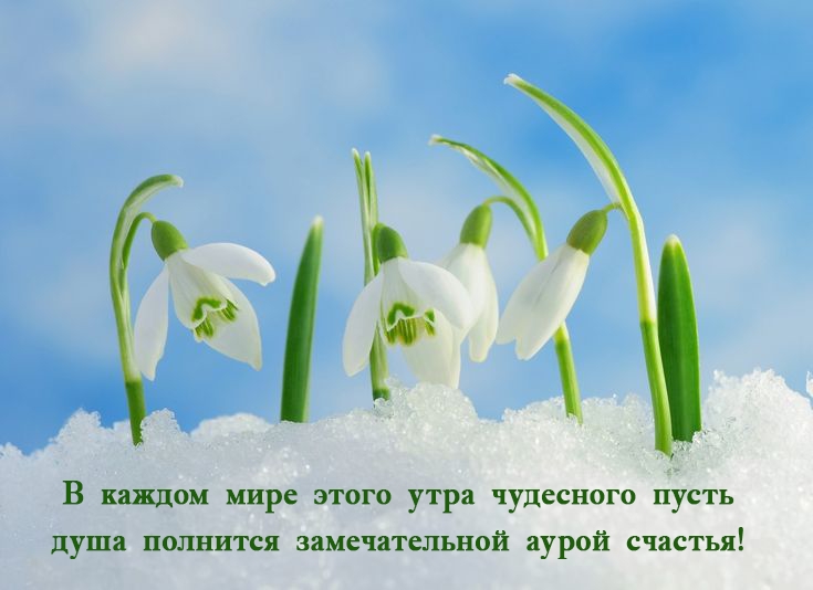 � ������ ���� ����� ���� ��������� ����� ���� �������� 
