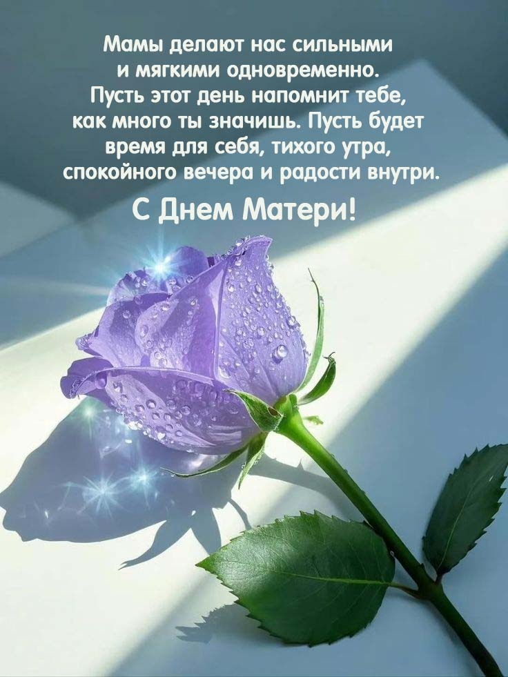 � ���� ������! ���� ������ ��� �������� � ������� ������������.