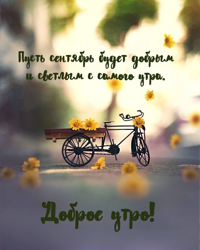 ����� �������� ����� ������ � ������� � ������ ����.
