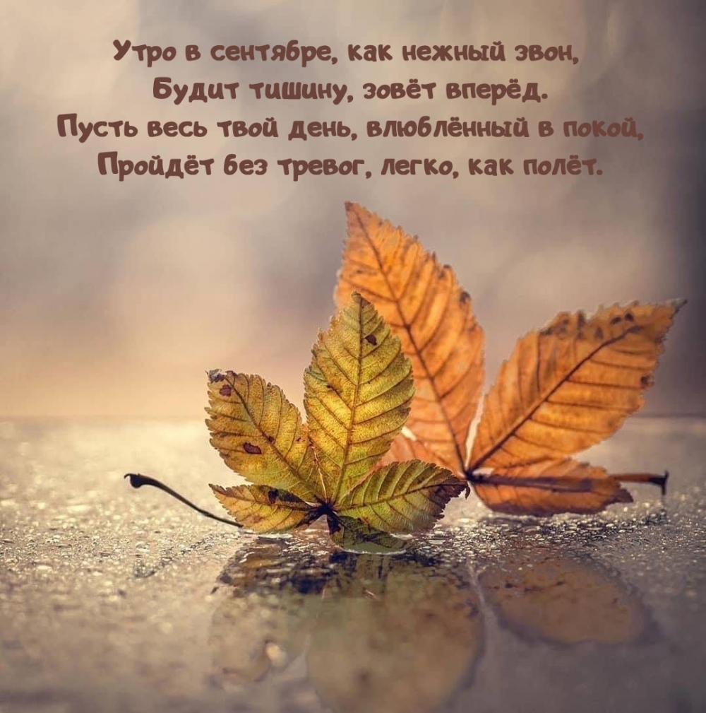 ���� � ��������, ��� ������ ����, ����� ������, ���� �����.