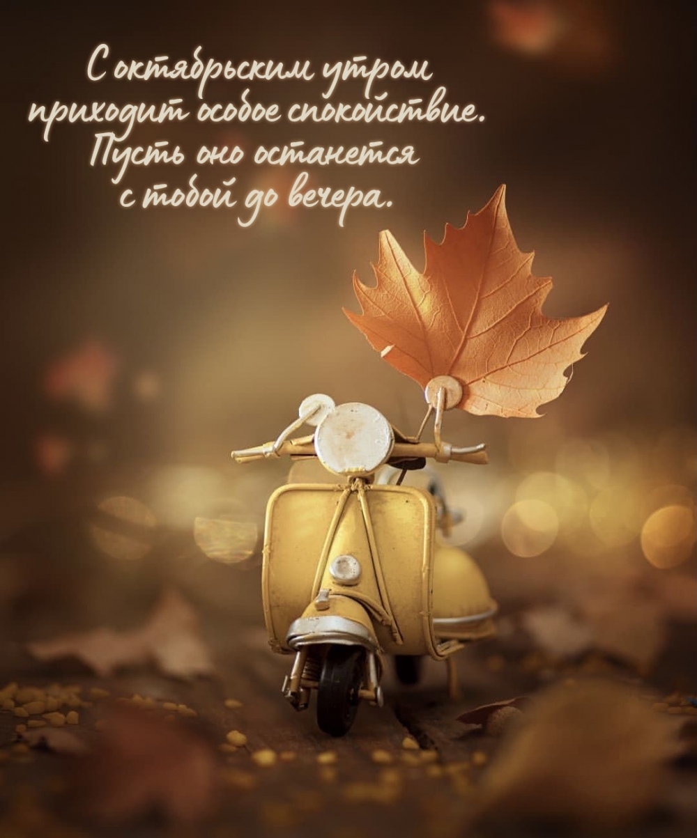 � ����������� ����� �������� ������ �����������.