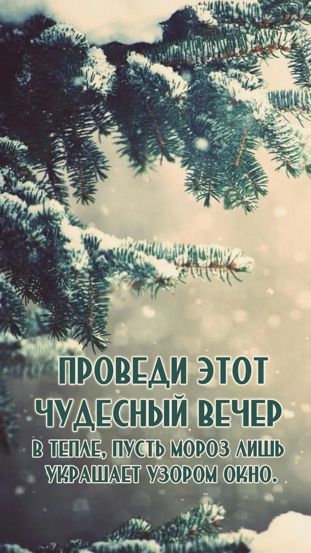 ����� ����� ���� �������� ������ ����.