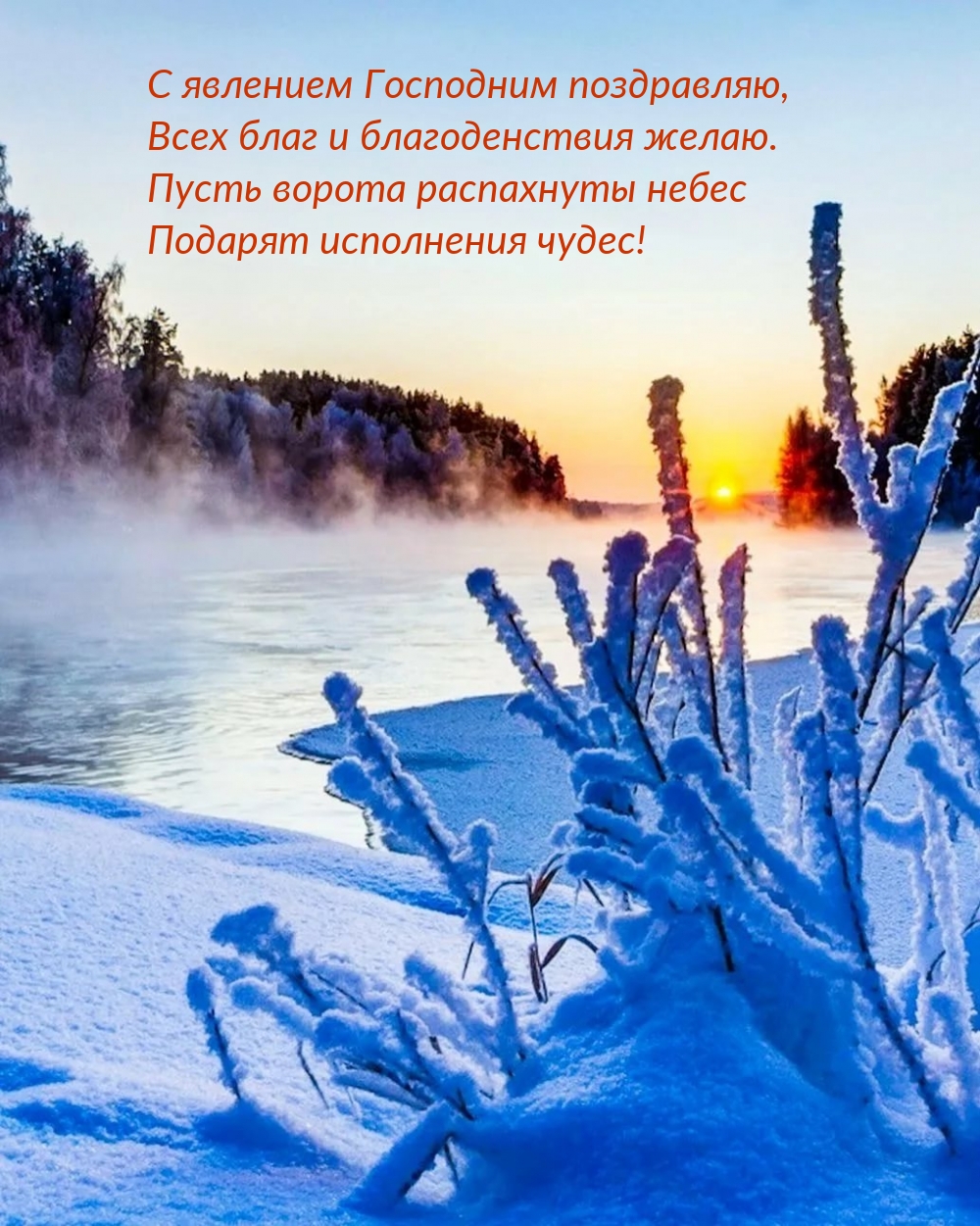 � �������� ��������� ����������