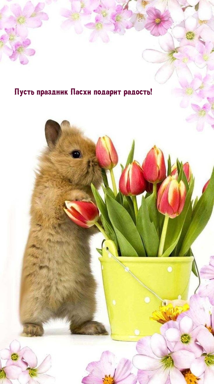 ����� �������� ����� ������� �������!