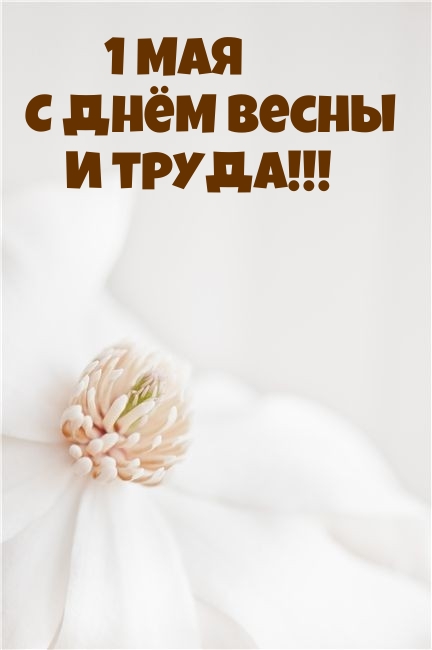 1 ��� � ���� ����� � �����!