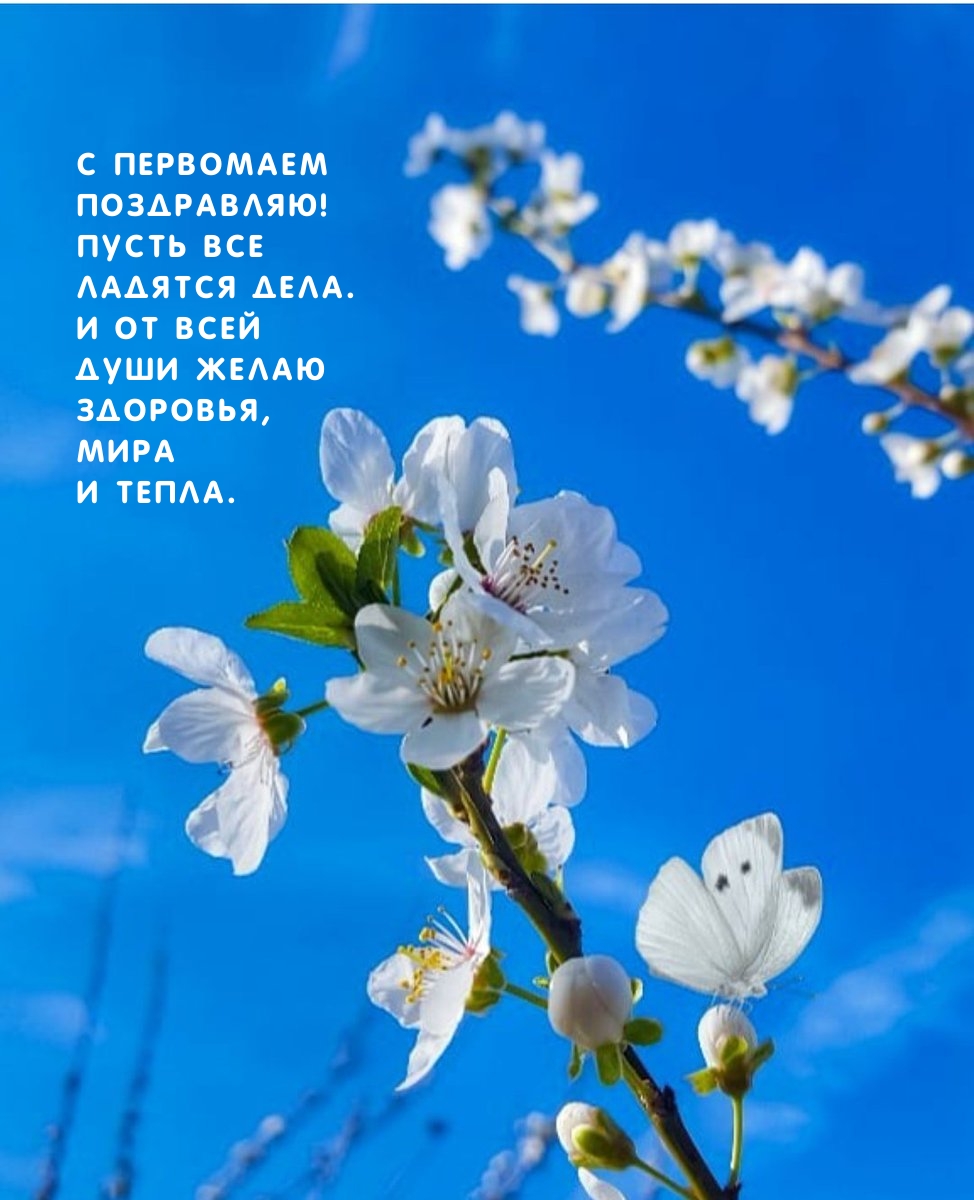 � ��������� ����������! ����� ��� ������� ����.