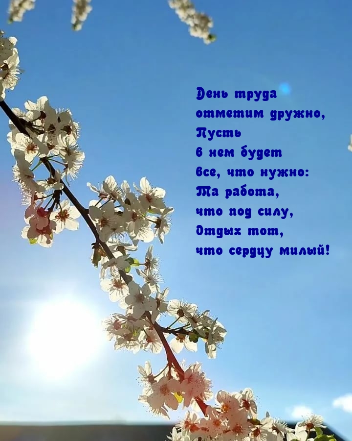 ���� ����� ������� ������