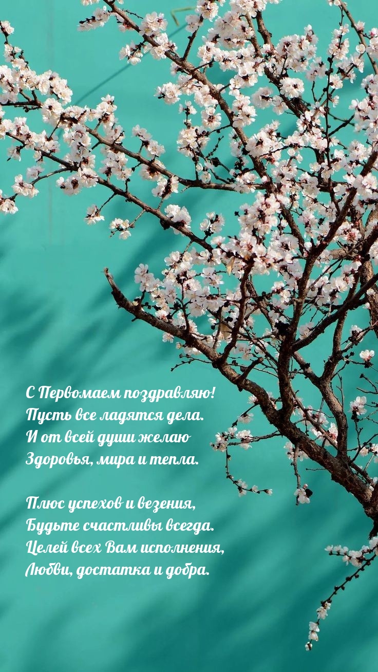� ��������� ����������! ����� ��� ������� ����.