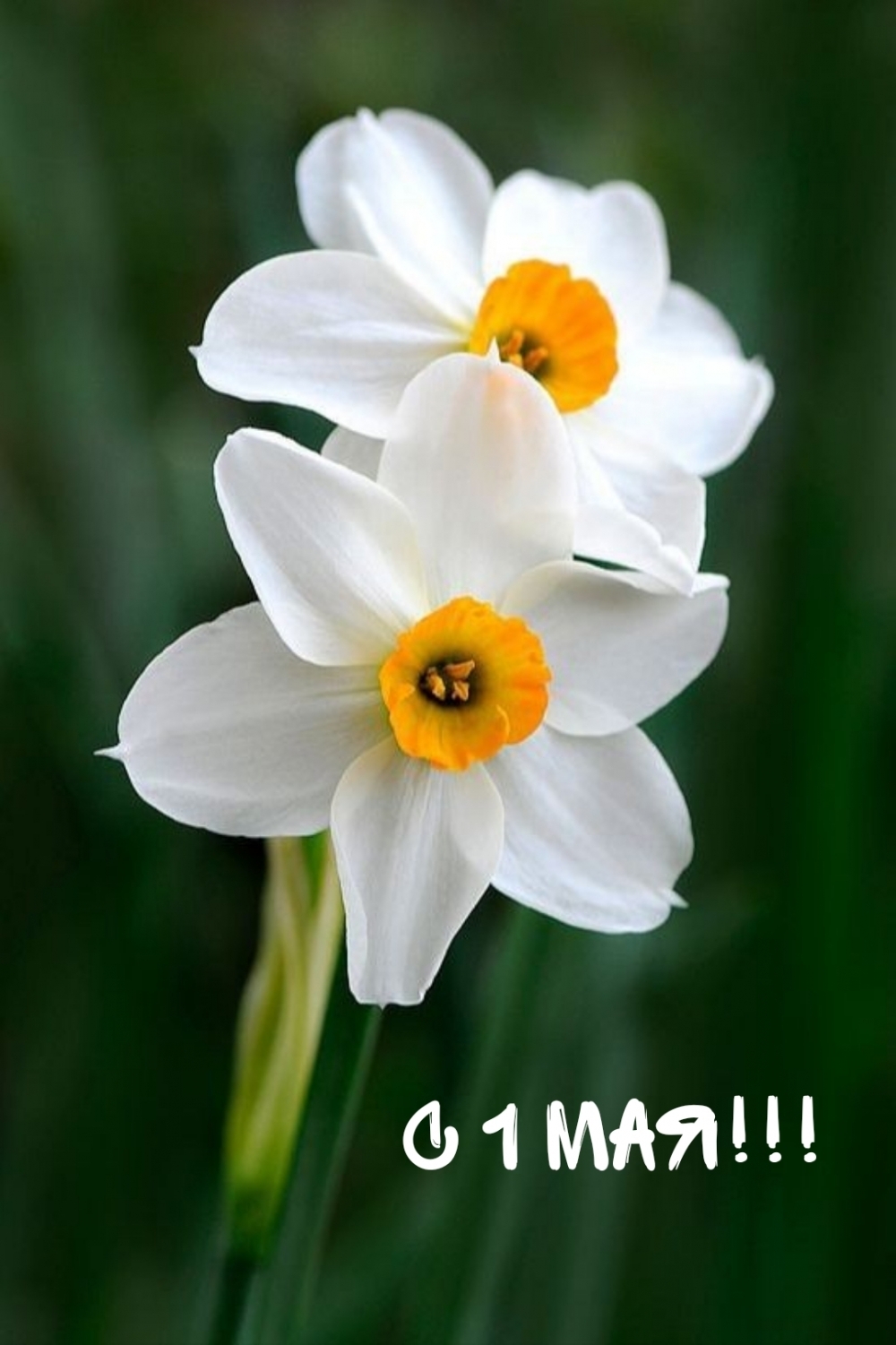 � 1 ���!