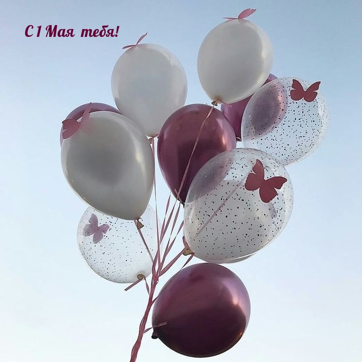� 1 ��� ����!