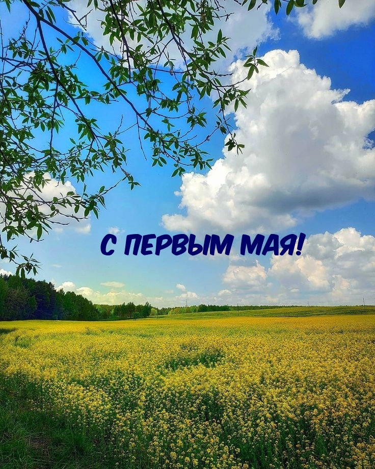 � ������ ���!