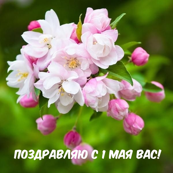 ���������� � 1 ��� ���!