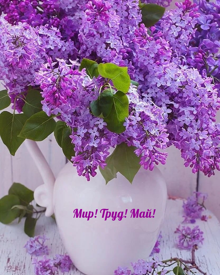 ���! ����! ���!