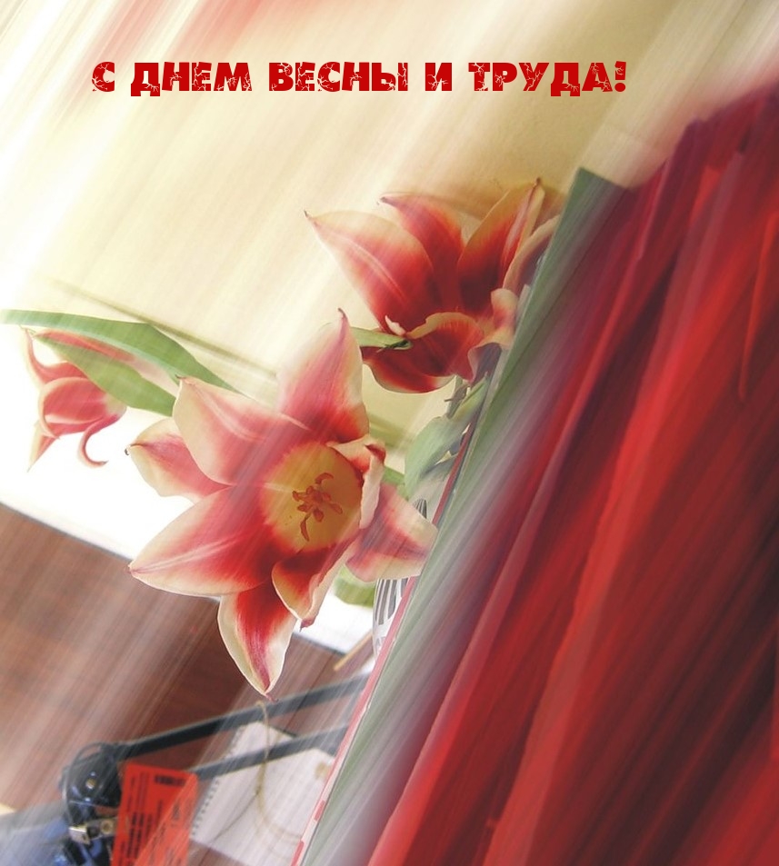 � ���� ����� � �����!