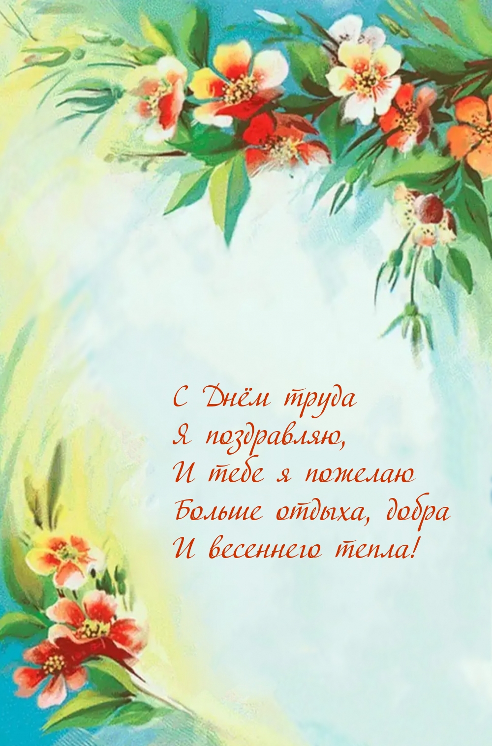 � ���� ����� � ����������