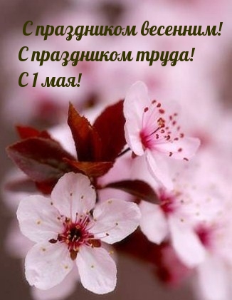 � ���������� ��������! � ���������� �����! � 1 ���!