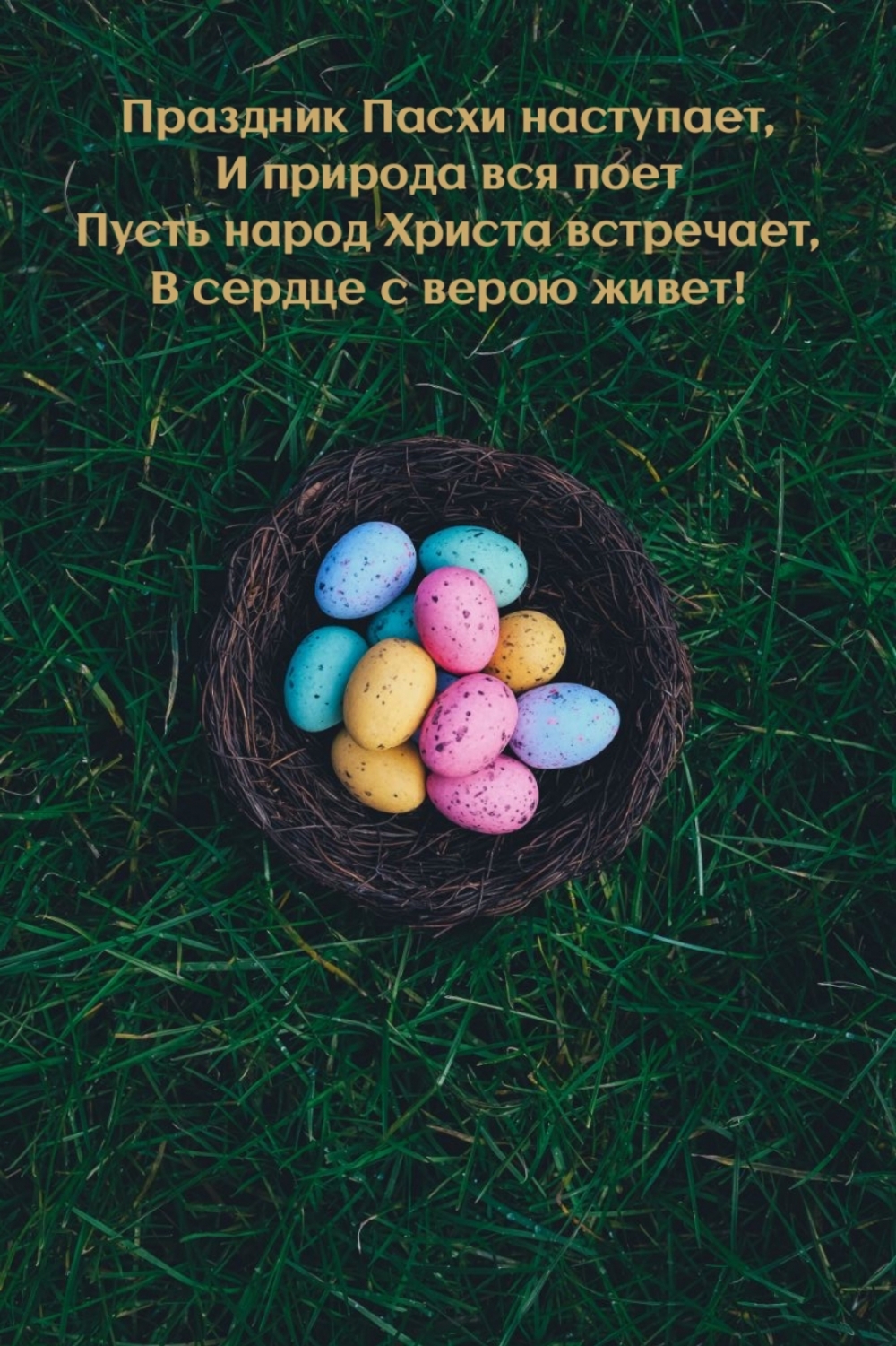 ����� ����� ������ ���������, � ������ � ����� �����!