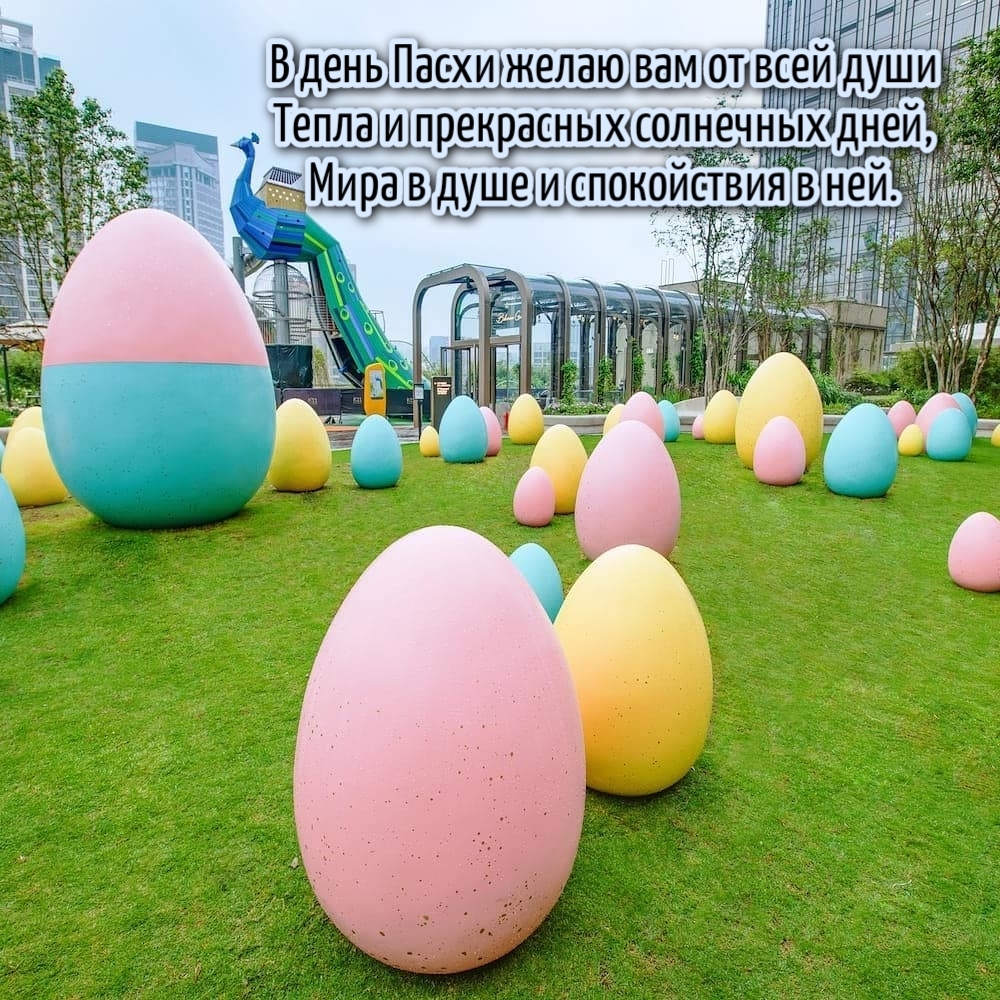 � ���� ����� ����� ��� �� ���� ����
