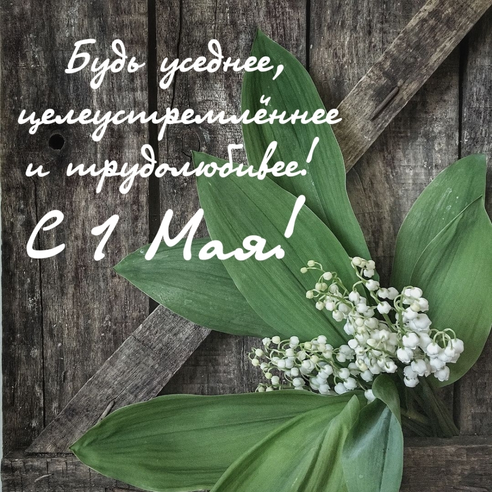 ���� �������, ��������������� � ������������! � 1 ���!