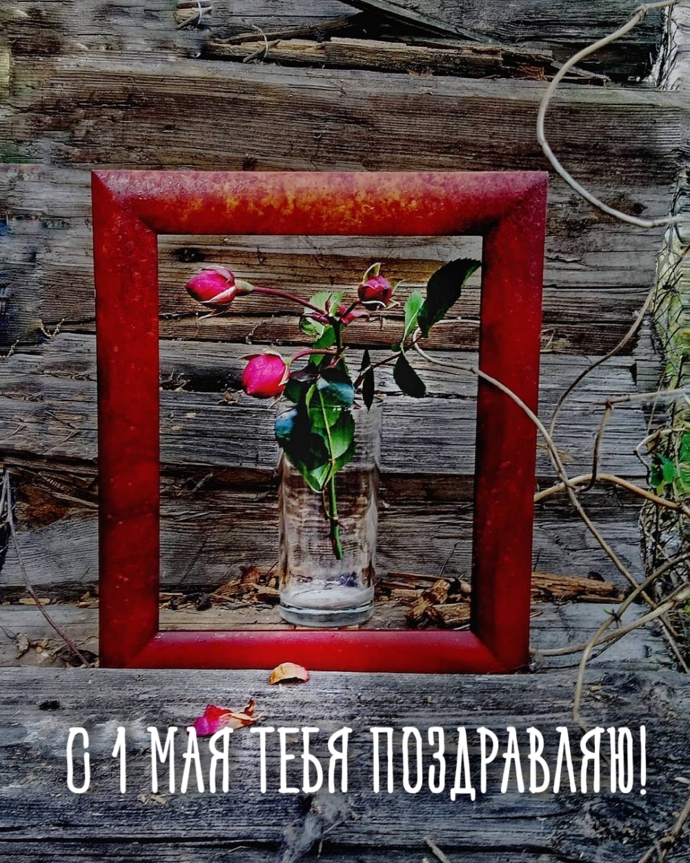 � 1 ��� ���� ����������!