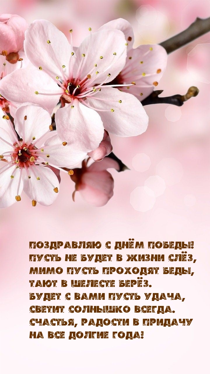 ���������� � ���� ������! ����� �� ����� � ����� ���
