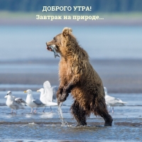 ������� ����! ������� �� �������...