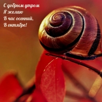 � ������ ����� � ����� � ��� �������, � �������!