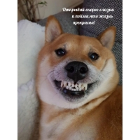 �������� ������ ������ � �����, ��� ����� ���������!