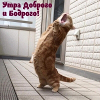 ���� ������� � �������!