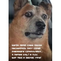 ��� ���� � ����! ����� ����� ���� ����� ���������� ���� ����� 