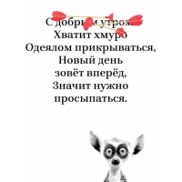 ������ ����� ������� ������������