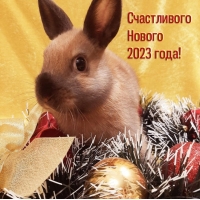 ����������� ������ 2023 ����!