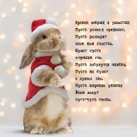 ������ ������ � ������� ����� ������ ��������