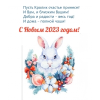 � ����� 2023 �����! ����� � ������� � ���� ���!