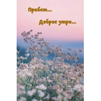 ������... ������ ����...