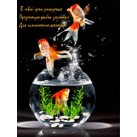 � ���� �������� g�������� ����� �������