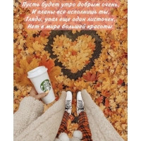 ����� ����� ���� ������ �����
