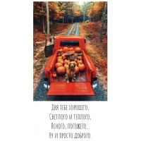 ��� ���� ��������, �������� � �������